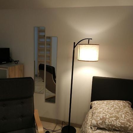 Studio Terrasse - Parking Gratuit 올리언스 외부 사진