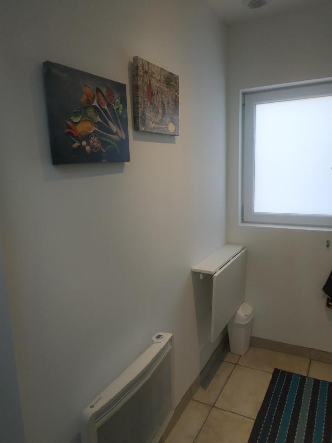 Studio Terrasse - Parking Gratuit 올리언스 외부 사진